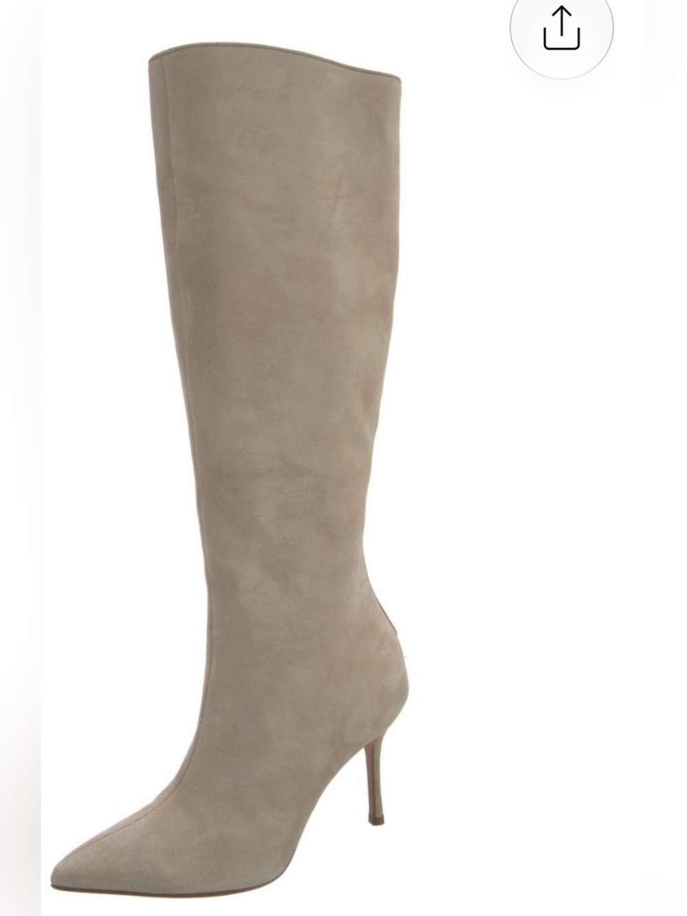 Manolo Blahnik Tall Taupe Suede Boot